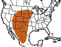  Geographic range of  Melanoplus lakinus  (Scudder) 