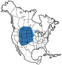  Geographic range of  Metator pardalinus  (Saussure) 