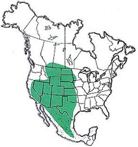  Geographic range of  Opeia obscura  (Thomas) 