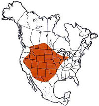  Geographic range of  Phoetaliotes nebrascensis  (Thomas) 