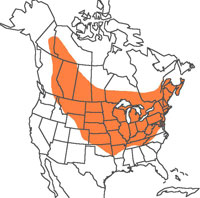  Geographic range of  Pardalophora apiculata  (Harris) 