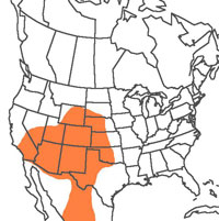  Geographic range of  Paropomala wyomingensis  (Thomas) 