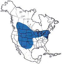  Geographic range of  Spharagemon collare  (Scudder) 