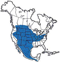  Geographic range of  Trachyrhachys kiowa  (Thomas) 