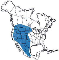  Geographic range of  Xanthippus corallipes  (Haldeman) 