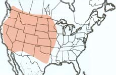  Geographic range of  Melanoplus foedus  Scudder 