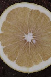            Fruit cross-section (Riverside, CA)   