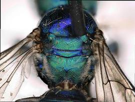  photo: Chelsey Ritner 
