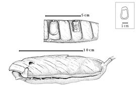  Fruit and seed:  P. coeruleum  (P.H.W. Taubert) J.J.G. Léonard - top seeds in situ, bottom dehisced fruit.
