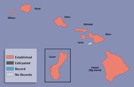  distribution map for  Adoretus sinicus  