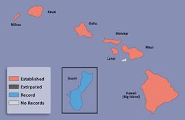  distribution map for  Copris incertus   