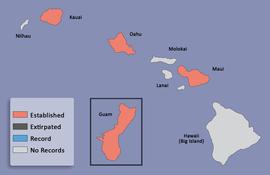  distribution map for  Omorgus suberosus   